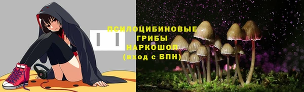соль ск Гусев