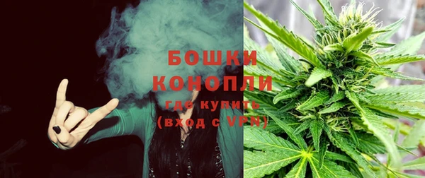 соль ск Гусев