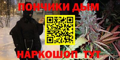 шишки Краснознаменск