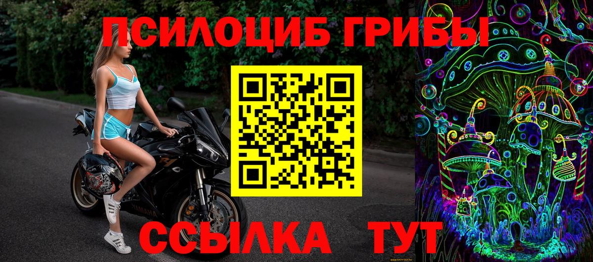 Славянск-на-Кубани  Галлюциногенные грибы Psilocybine cubensis  Галлюциногенные грибы Psilocybine cubensis  Вход с VPN 